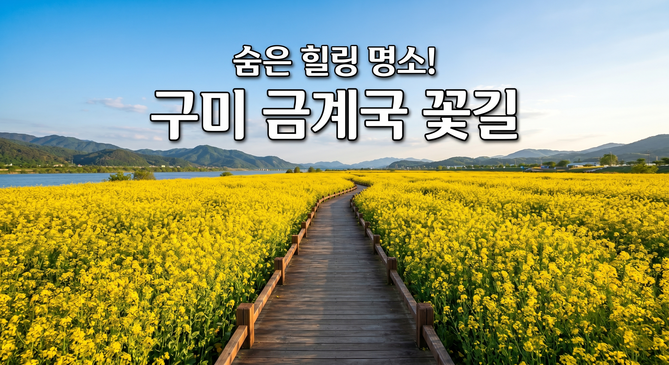 구미 낙동강체육공원 금계국 꽃길: 6월 사람 없는 숨은 힐링 명소